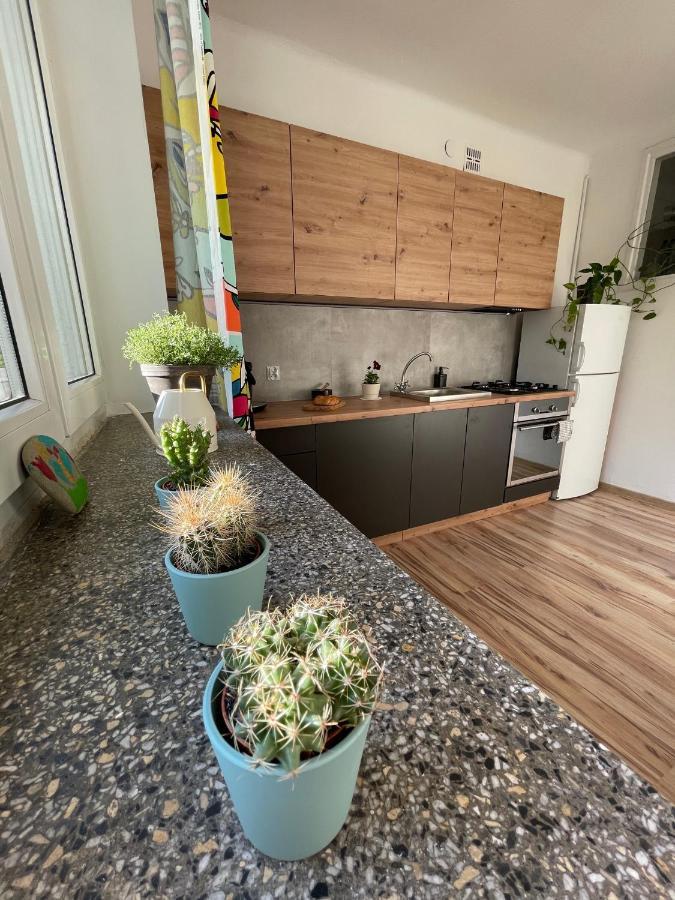 Old Town Nest Apartment Krakow Bagian luar foto
